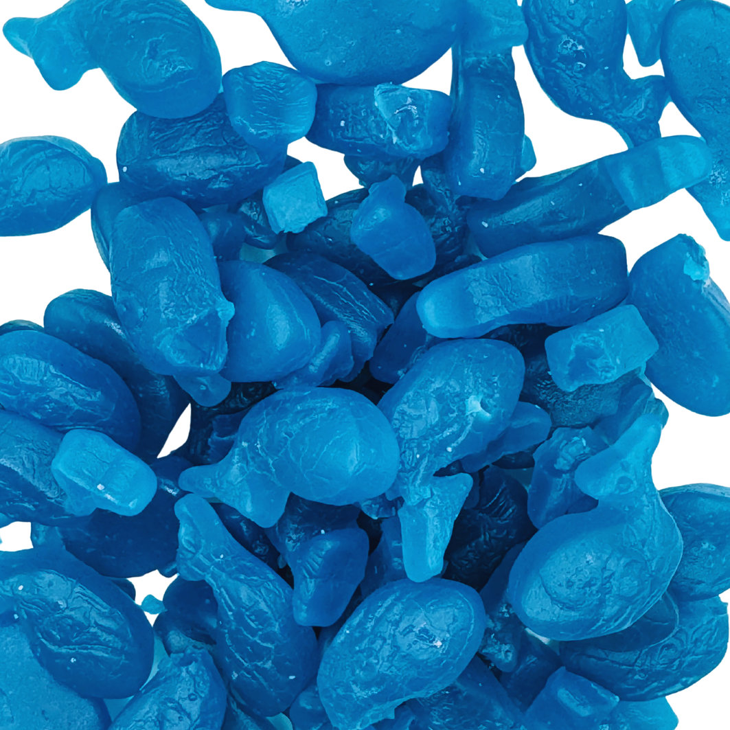 Baleines bleus
